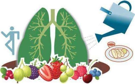 中、西医的“润肺食物榜”，照着吃，养肺还提高免疫力！