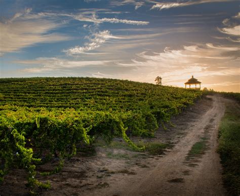 Wines of the Santa Cruz Mountains - Wineries & Tasting Rooms