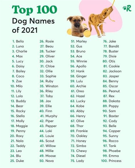 Dog Names | A List of Names Ideas For Male And Female Dog | Cute puppy names, Dog names, Cute ...