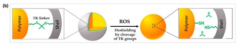 Image result for Sample Variance Formula Standard Devaition Normal Distribution