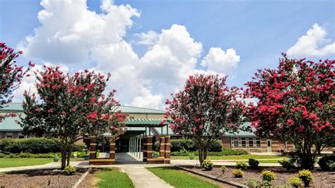 Capped Schools in Cary! February 2024 - The Best Cary Neighborhoods