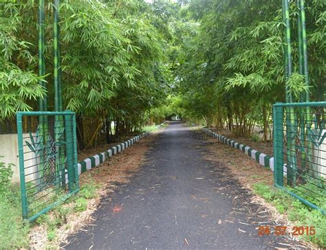 THE 30 BEST Places to Visit in Amravati (2025) - Must-See Attractions