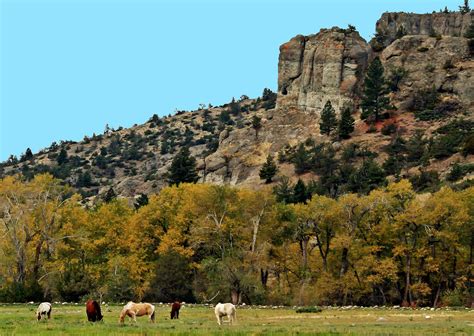 Sweet Grass County Montana | Photo Art by Chrys