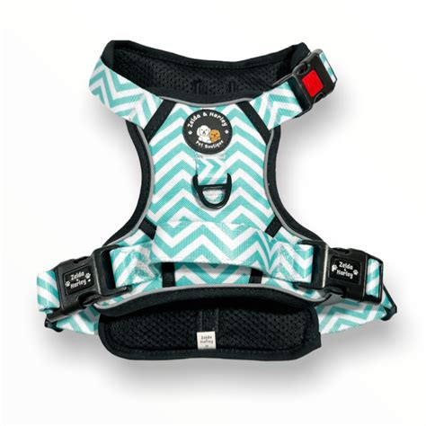 Cute Dog Harnesses – Zelda & Harley