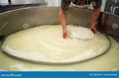 Cheese Maker Who Separating Curd and Whey in a Large Stainless Steel ...