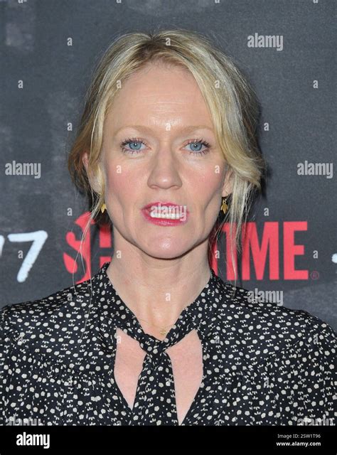 The 'Ray Donovan' Season 4 FYC Event at the DGA Theater on April 11 ...