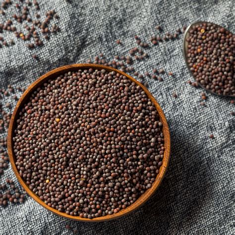 TRS Brown Mustard Seeds - TRS