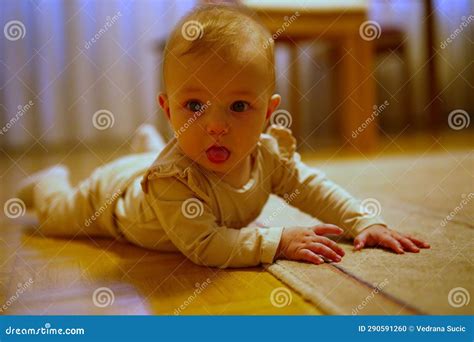 Little Baby Girl Crawling on the Floor Stock Photo - Image of activity ...