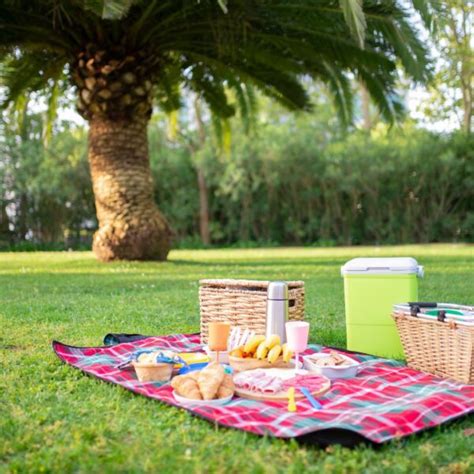 Picnic Recipes in India: Delicious Ideas for Outdoor Dining