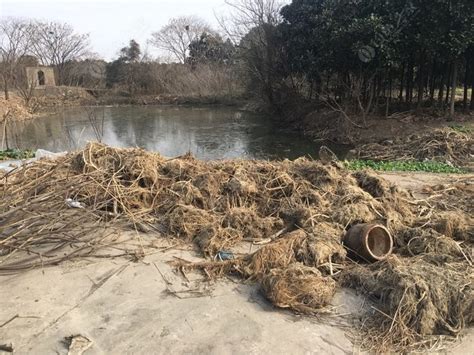 我要自己D个鱼塘，这钓鱼人精神佩服吗？ - 钓鱼之家