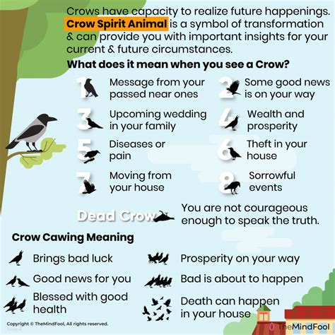 Crow Meaning | Crow Symbolism | Crow Spiritual Meaning