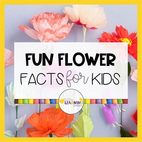 33 fun flower facts for kids – Artofit