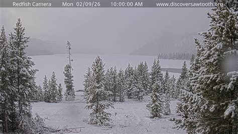 Bass Lake Webcam