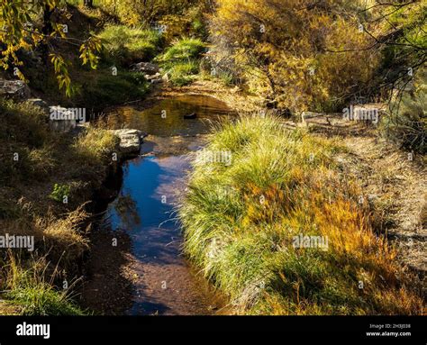 The riverbanks of the Santa Fe river display the colors of autumn Stock ...