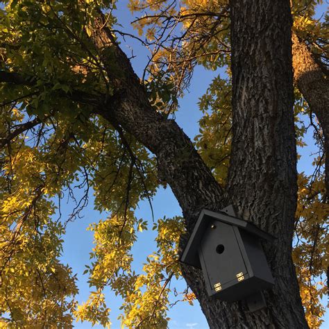 Mini Golf Collection | Mini Golf