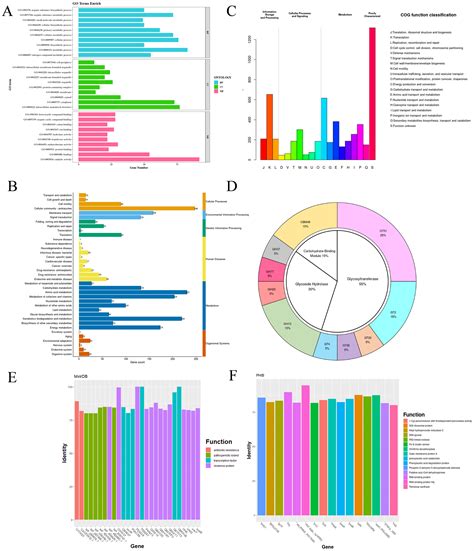 A Comprehensive Safety Assessment of Ralstonia eutropha H16 for Food ...