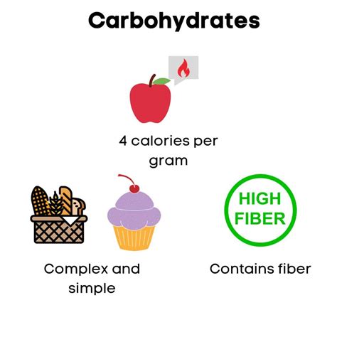 Counting Macros For a Beginner: A Step-by-Step Guide | Noah's Nutrition