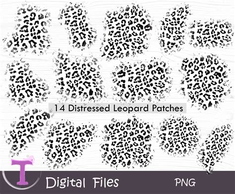 Black And White Leopard Print Drawing