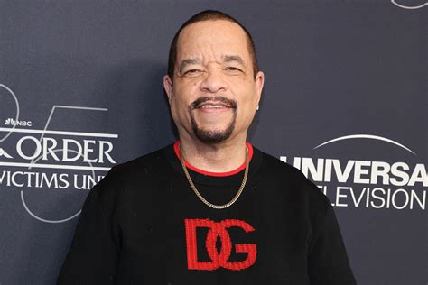 Is Ice T Still on SVU? When He's Returning to the Show