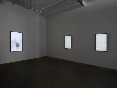 Robert Wilson: Animals | Meer