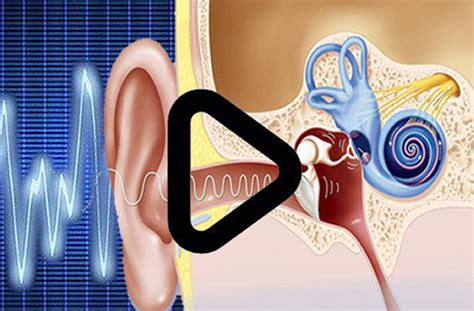 动辄10万的人工耳蜗，深圳医保很快能报销！最高报6.75万--行政事项
