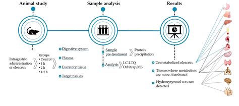 LC-ESI-LTQ-Orbitrap-MS for Profiling the Distribution of Oleacein and ...