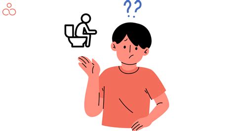 Image result for How Does Pooping Work