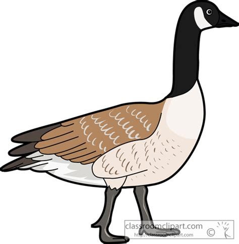 Canadian geese clipart 20 free Cliparts | Download images on Clipground ...