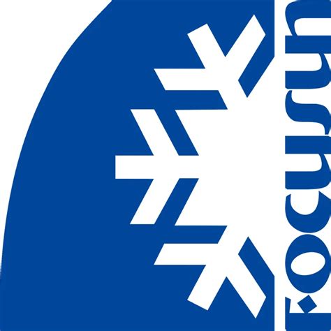Company Overview - Focusun Technology (Shanghai) Corporation