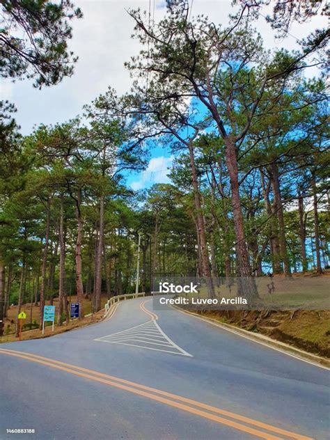 Image result for 3-Way Intersection