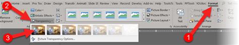 Image result for How to Set Transparency in PowerPoint