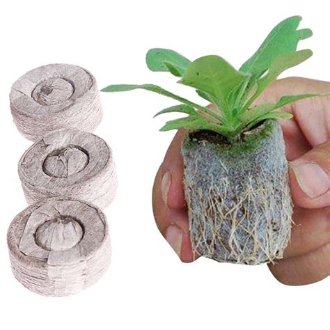 Buy Peat pellet, 100 peat jell-off s, sowing soil, peat , 30 mm sowing ...