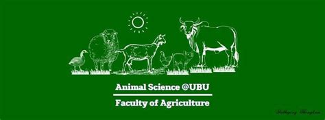 Animal Feed Technology in Ruminant and Non-Ruminant, คณะเกษตรศาสตร์ ...