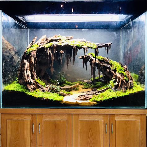 Aquascape Aquarium Driftwood Large Bonsai Aquascaping Decor Hardscape ...