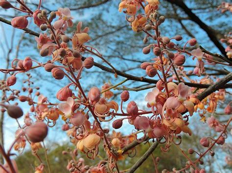 RED DE SENDEROS DE ISLA DE CHIRA (2025) All You Need to Know BEFORE You ...