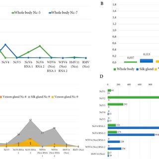 RNA Transcript Graph 的图像结果