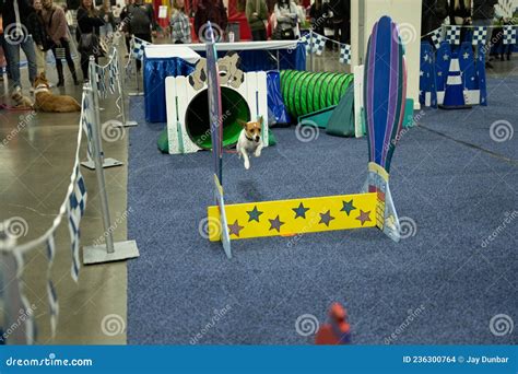 Novi Pet Expo in Novi, Michigan on 12-04-2021 at the Suburban ...