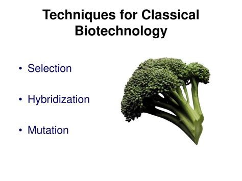 Example of a Classical Biotechnology Process 的图像结果