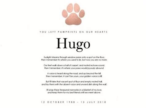 Obituaries For Pets: Recognizing The Growing Trend In Memorial Ads