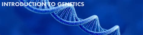 Genetics Introduction 的图像结果