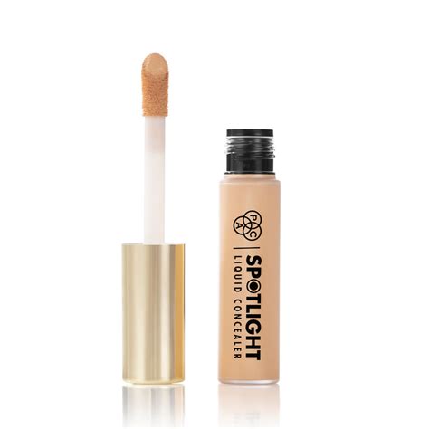 PAC Spotlight Concealer | Best Full Coverage Concealer