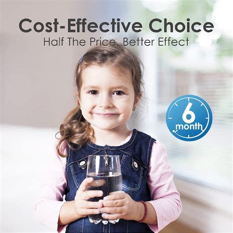 Waterdrop F27 Above Sink 6-Months Replacement Filter 2 -Pack in the ...