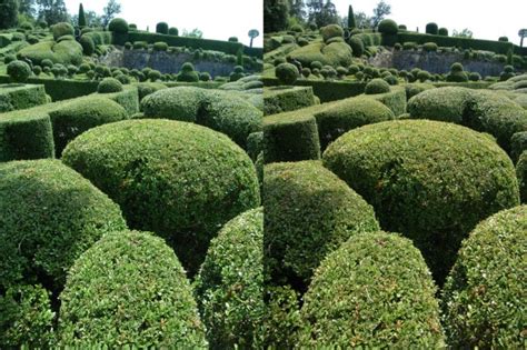 Stereo Camera 的图像结果