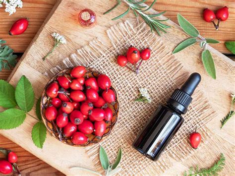 Vitamin E Cream Rosehip Oil at Christiana Shepherd blog