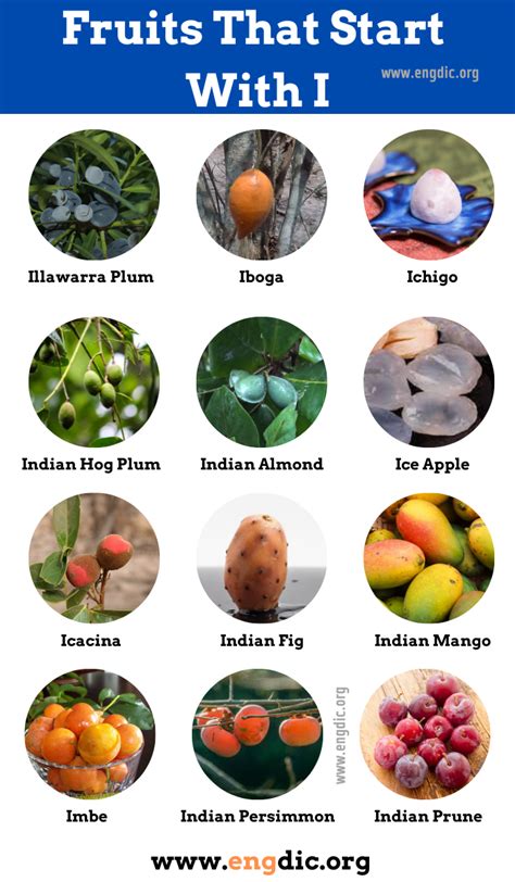 22 Fruits That Start With I (Pictures and Properties) - EngDic