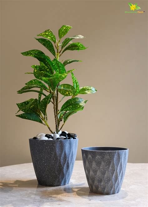 Ribbed Pattern Round Planter / Pots – Blooming Floret