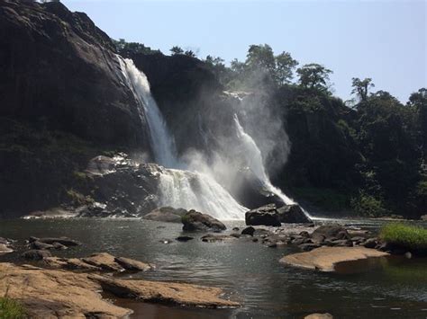 Kalady Tourism (2024): All You Need to Know Before You Go