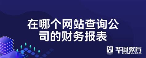 在哪个网站查询公司的财务报表