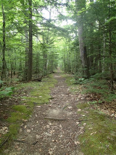 Dry River Crawford Notch State Park | The Dyrt