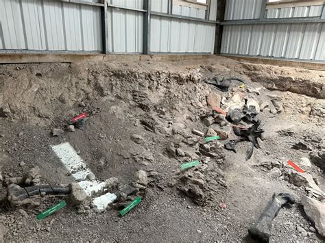 Guide to visiting the Cleveland Lloyd Dinosaur Quarry at Jurassic ...